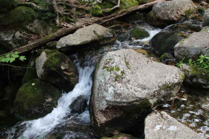 Roaring Brook