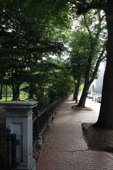 Boston Public Gardens Fence