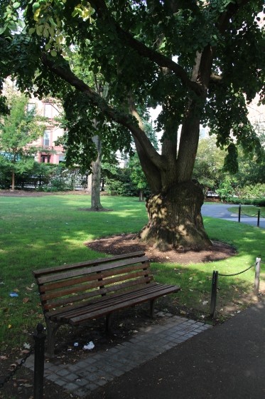 Boston Public Gardens