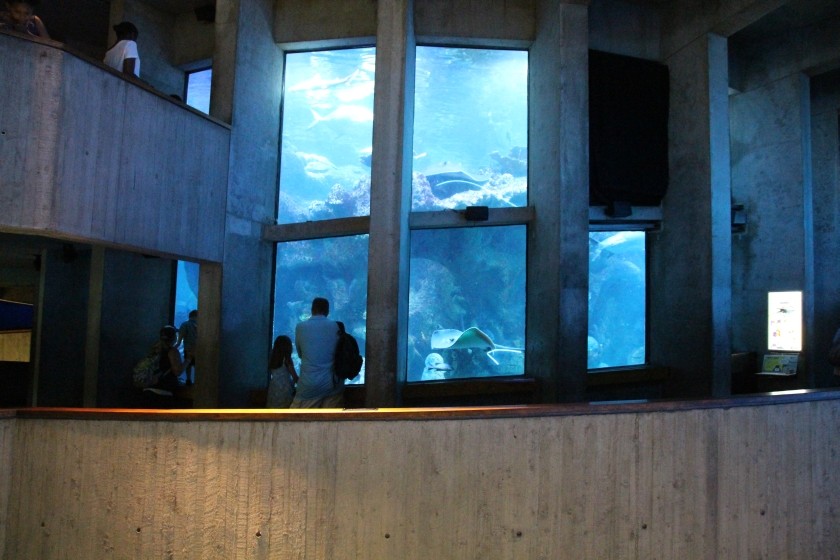 Great Ocean Tank