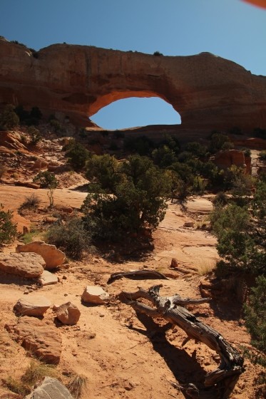 Wilson Arch