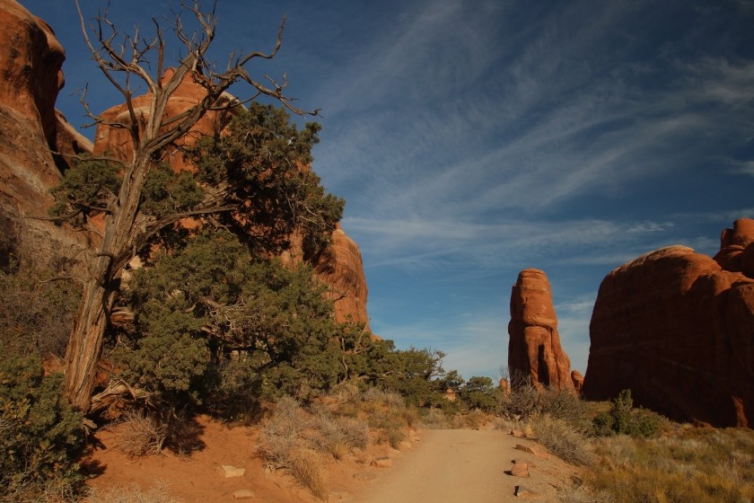 Devil's Garden Trail