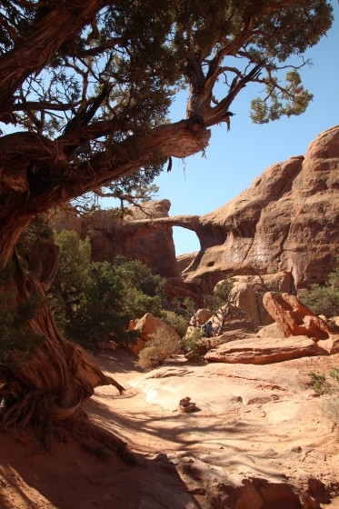 Sierra Juniper and Double O Arch