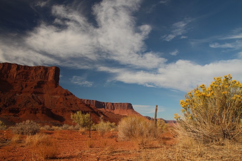 Southwestern Desert