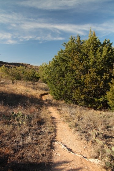 Trail around Juniper