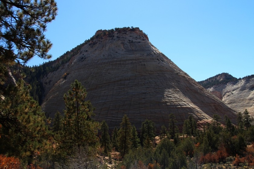 Zion NP Checkerboard Mesa