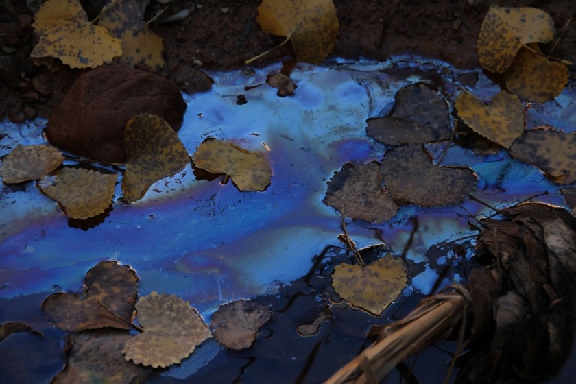 Zion NP Iridescent Water