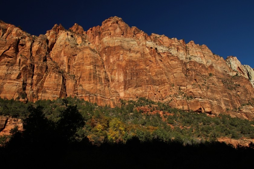 Zion NP Canyon Walls