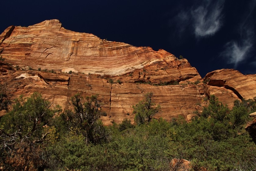 Zion NP Sandstone Wall