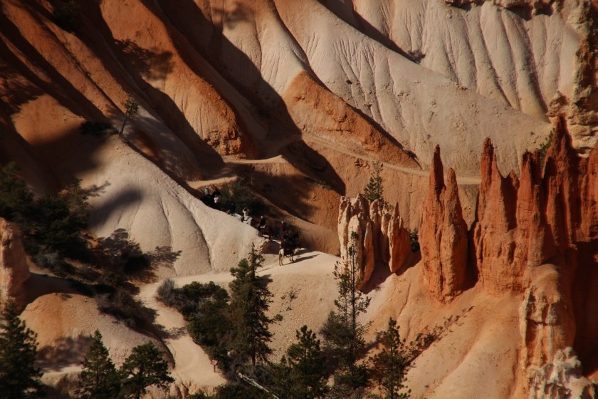 Bryce Canyon NP Horseback Tour