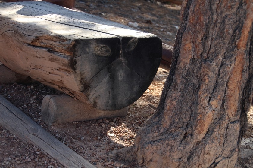 Bryce Canyon NP Bench Face