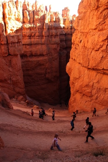 Bryce Canyon NP Wall Street Switchbacks