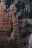 Bryce Canyon NP Cat Hoodoo