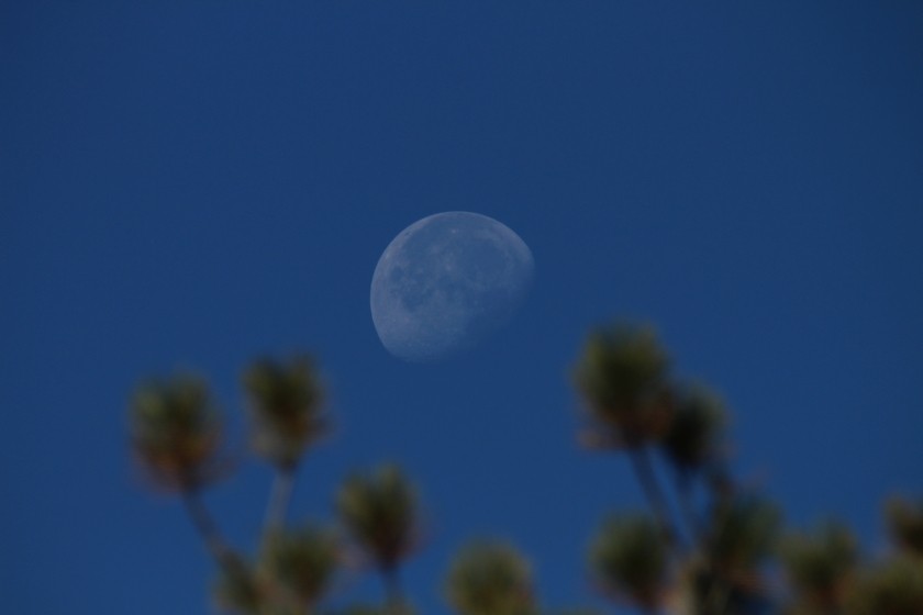 Zion NP Gibbous Moon