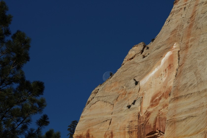 Zion NP Setting Moon