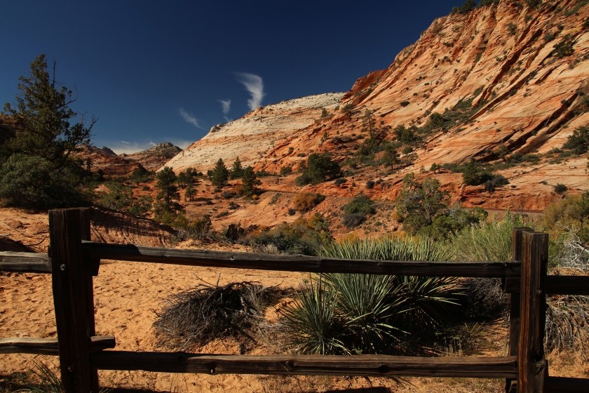 Zion NP 