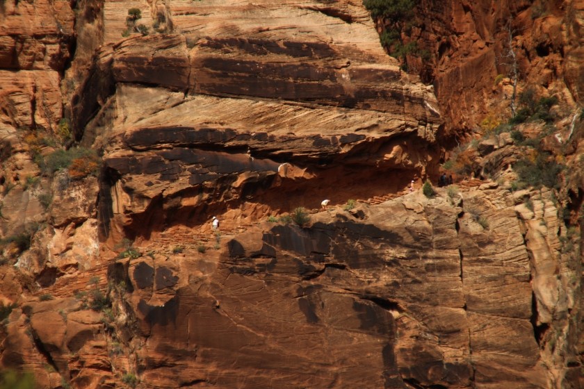 Zion NP 