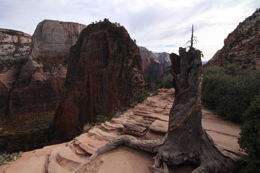 Zion NP 