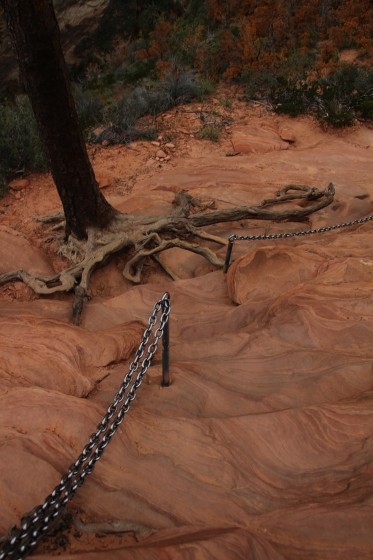 Zion NP 