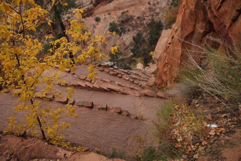 Zion NP 