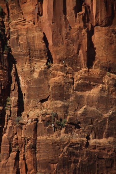 Zion NP 