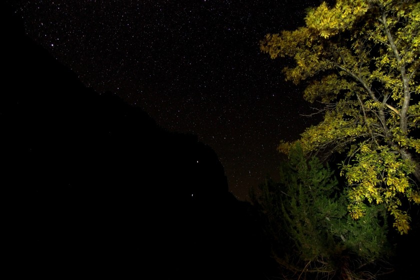 Zion NP 