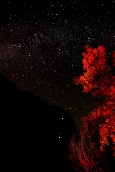 Zion NP 