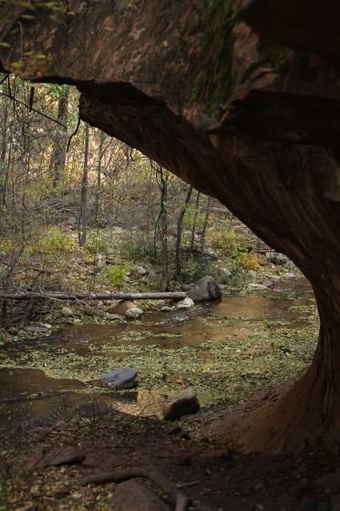 Zion NP 