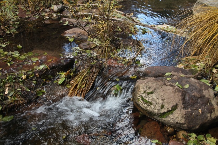 Zion NP 